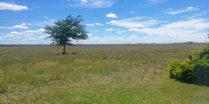 Raapfontein Self-catering and Camp