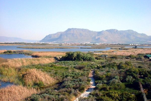 Rondevlei Nature Reserve