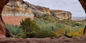 Mosemane Guest Farm and Hiking Trails