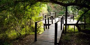 SANParks Addo Narina Bush Camp