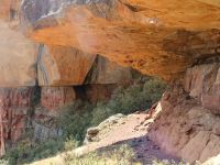 Whyte's Cave & Secret Cave Hike