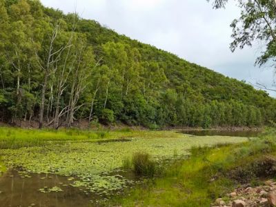 Leeuwkloof Valley Conservancy