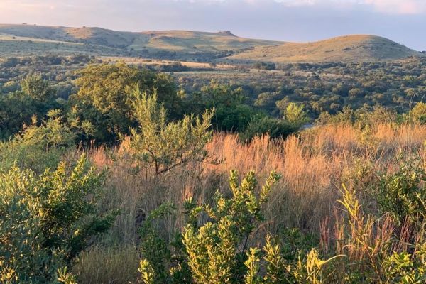 The Cradle Nature Reserve