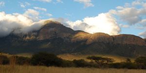 Moholoholo Nature Reserve and Wildlife Rehabilitation Centre