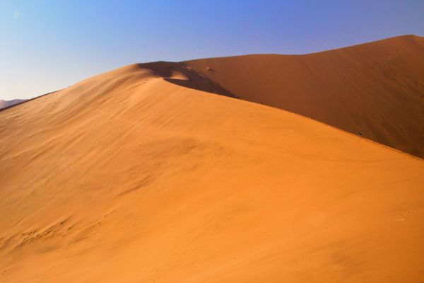 Big Daddy Dune