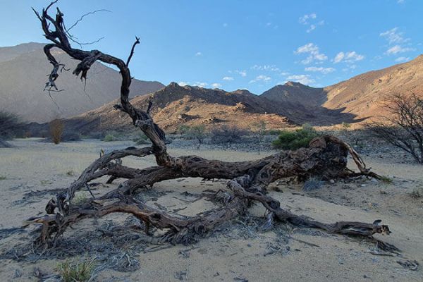 Damaraland Camino