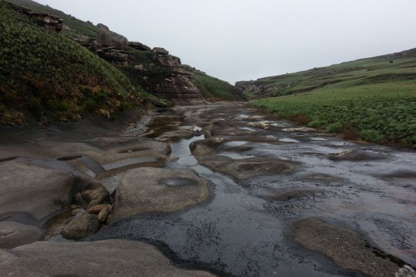 The Giant's Cup Trail