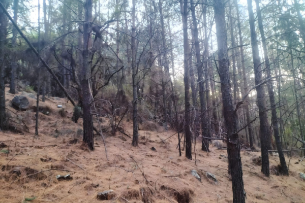 Elangeni Hiking Trail