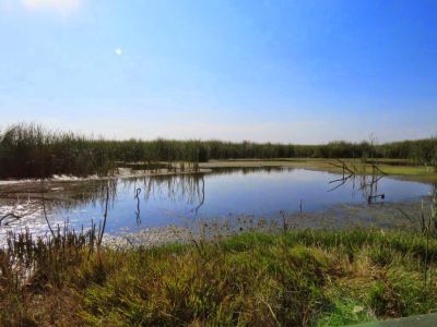 Blesbokspruit Wetland Reserve