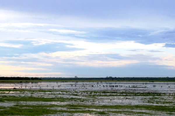 Mkhombo Nature Reserve