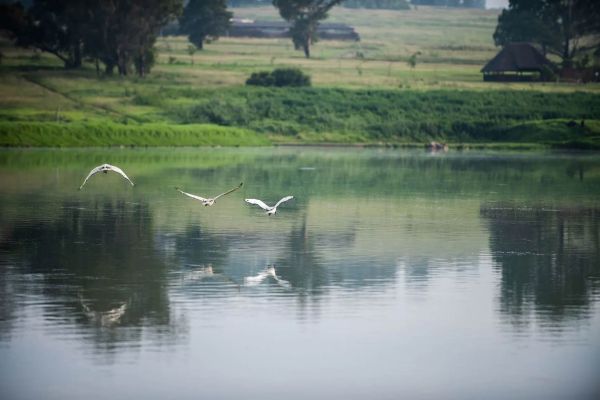 Modderfontein Nature Reserve