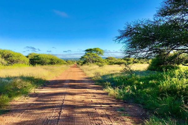 Polokwane Nature Reserve