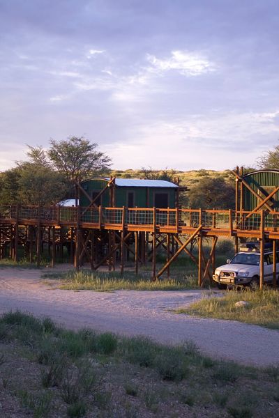 Botswana - Kgalagadi Transfrontier Park