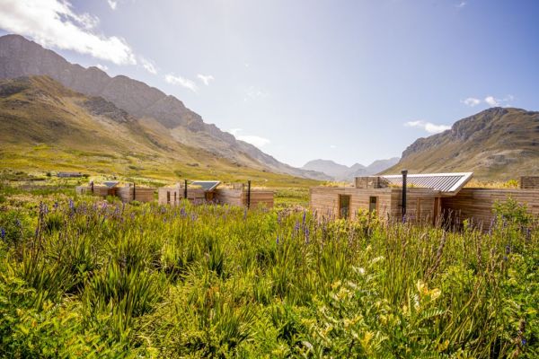 Kogelberg Nature Reserve