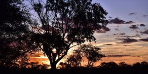 Rooipoort Nature Reserve