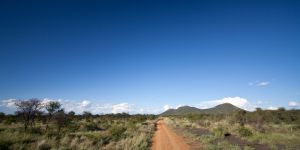 Madikwe Game Reserve