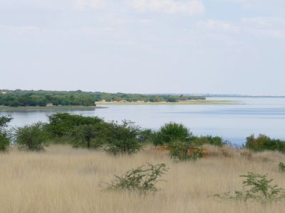 Sandveld Nature Reserve