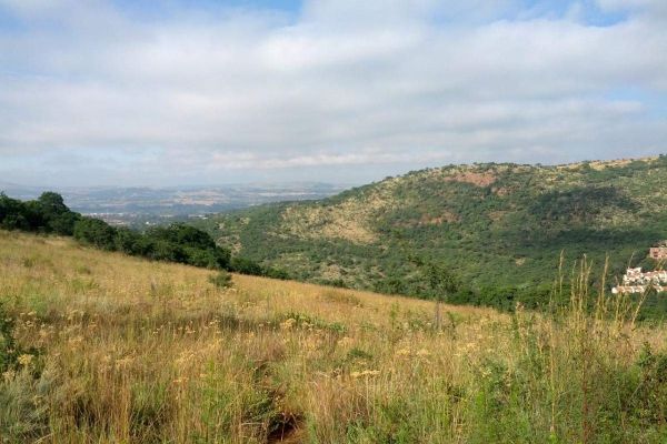 Klipriviersberg Nature Reserve