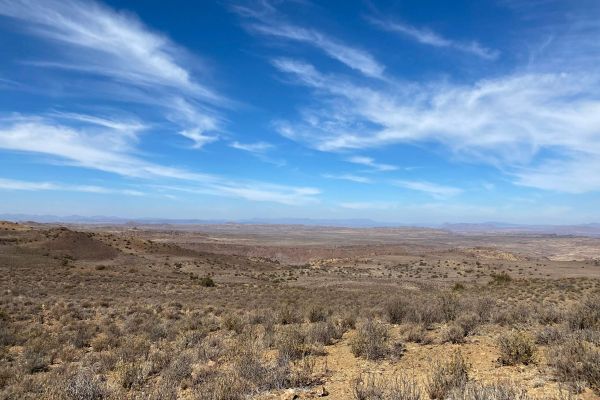 Bloemhof Karoo