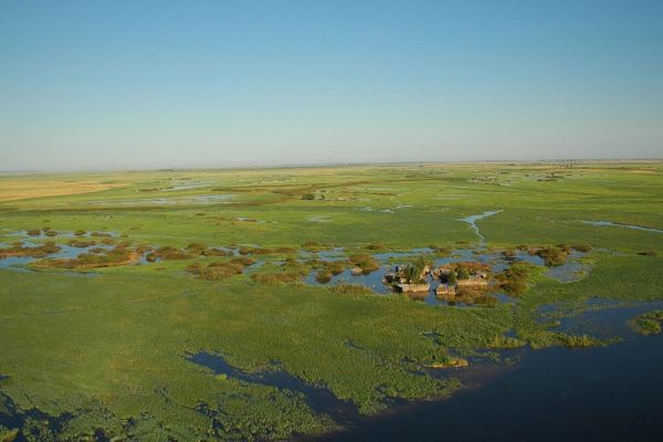 Mahango Game Reserve