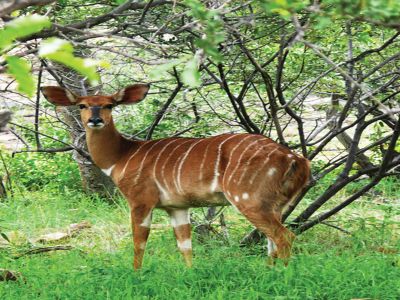 Schuinsdraai Nature Reserve