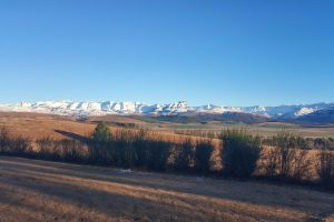 Dragons Landing Horse Trails and Farm Stay