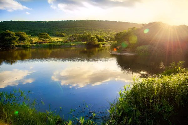 Mpongo Private Game Reserve