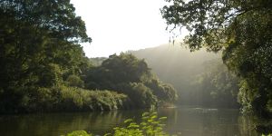 Wilderness National Park