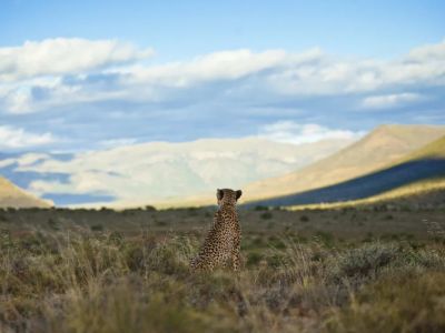 Samara Karoo Reserve
