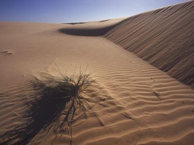 Witsand Kalahari Nature Reserve