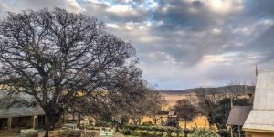 Imla Guest Farm