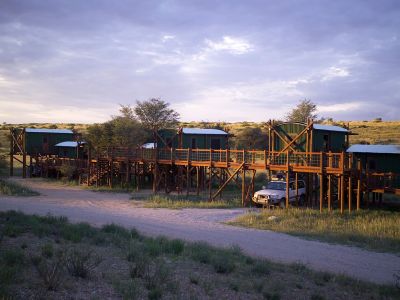 Kgalagadi Transfrontier Park