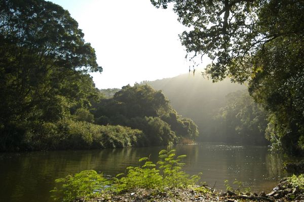 Wilderness National Park