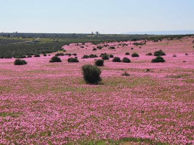 Avontuur Nature Reserve