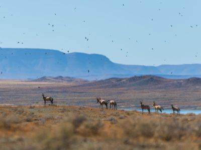 Tankwa Karoo National Park