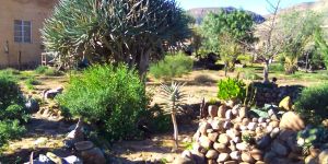 Asbos Skerm Guesthouse
