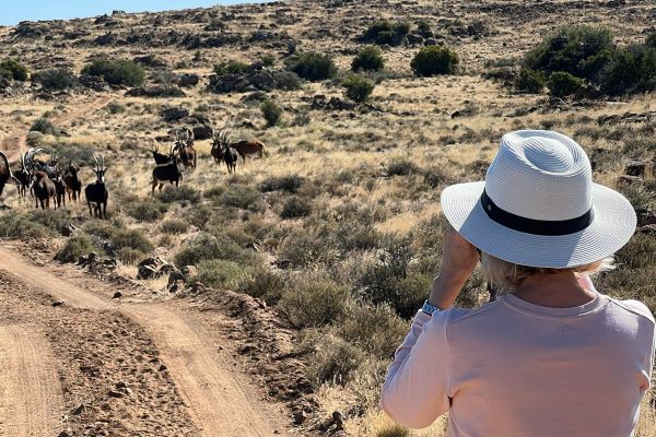 Bloemhof Karoo