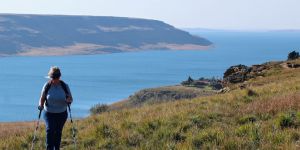 Sterkfontein Dam Nature Reserve