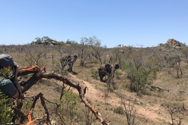 Mathikithi Wilderness Trail