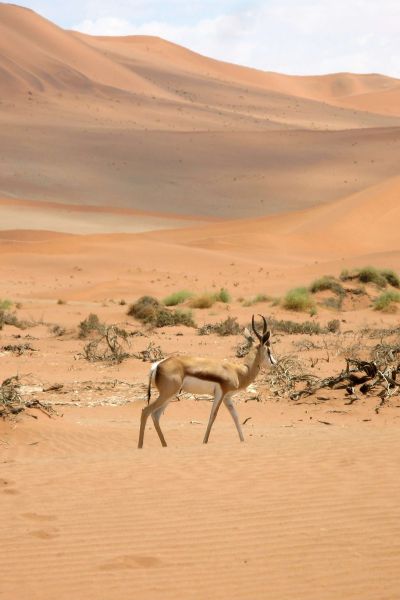 Namibia