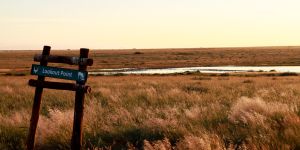 Mokala National Park