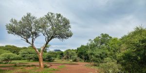 Ben Alberts Nature Reserve
