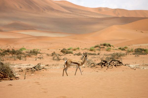 Namibia
