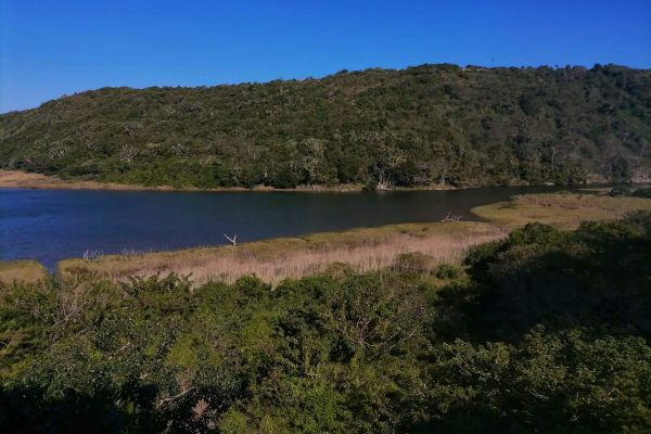 Fish Eagle House