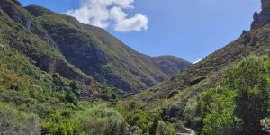 Fernkloof Nature Reserve