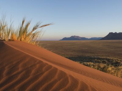 Namib Rand Nature Reserve