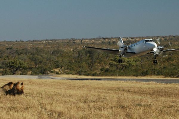 Manyeleti Game Reserve