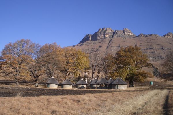 The Giant's Cup Trail