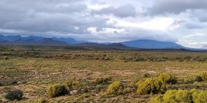 Montagu Camino