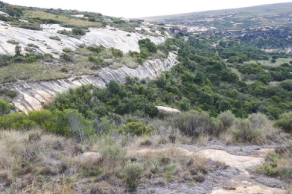 Holhoek Hiking Trail